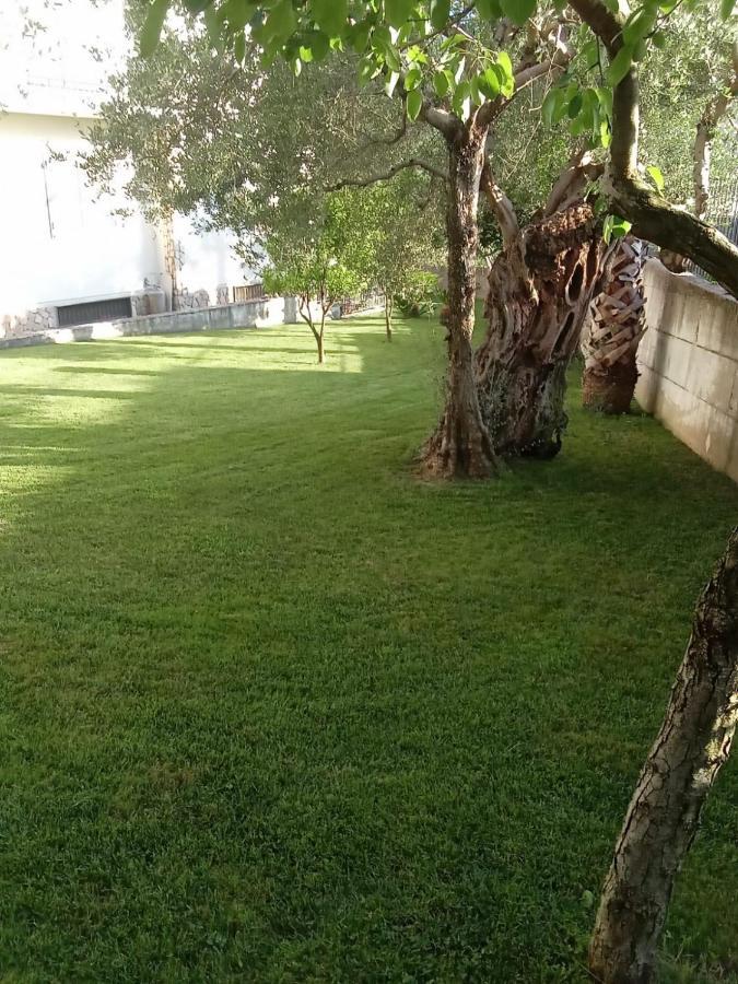 Villa Agata Forchia المظهر الخارجي الصورة