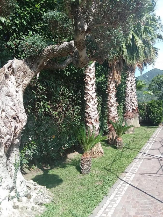 Villa Agata Forchia المظهر الخارجي الصورة