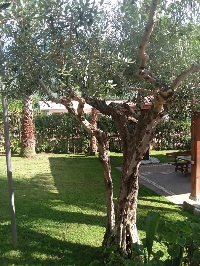 Villa Agata Forchia المظهر الخارجي الصورة