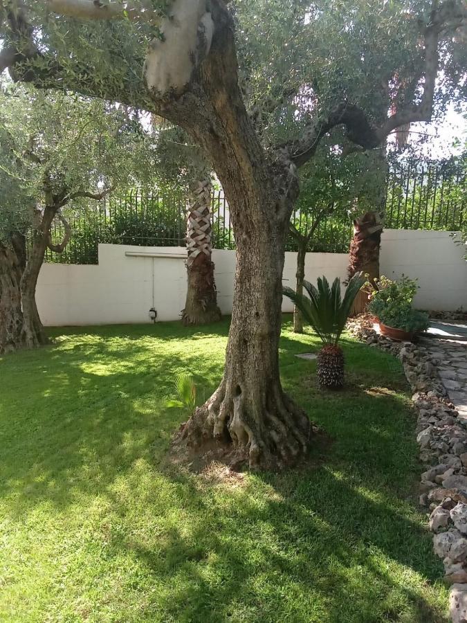 Villa Agata Forchia المظهر الخارجي الصورة